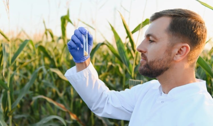 Acadian Sea Beyond lança bioativador à base de alga marinha para a agricultura