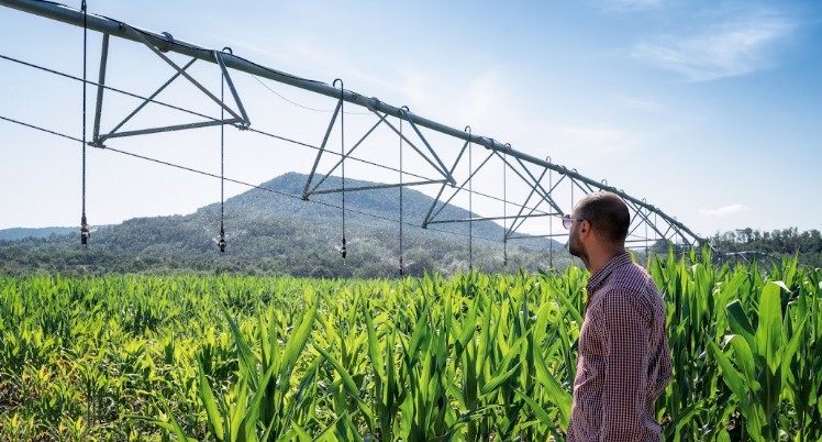 São Roque integra agro, turismo e segurança para impulsionar economia local