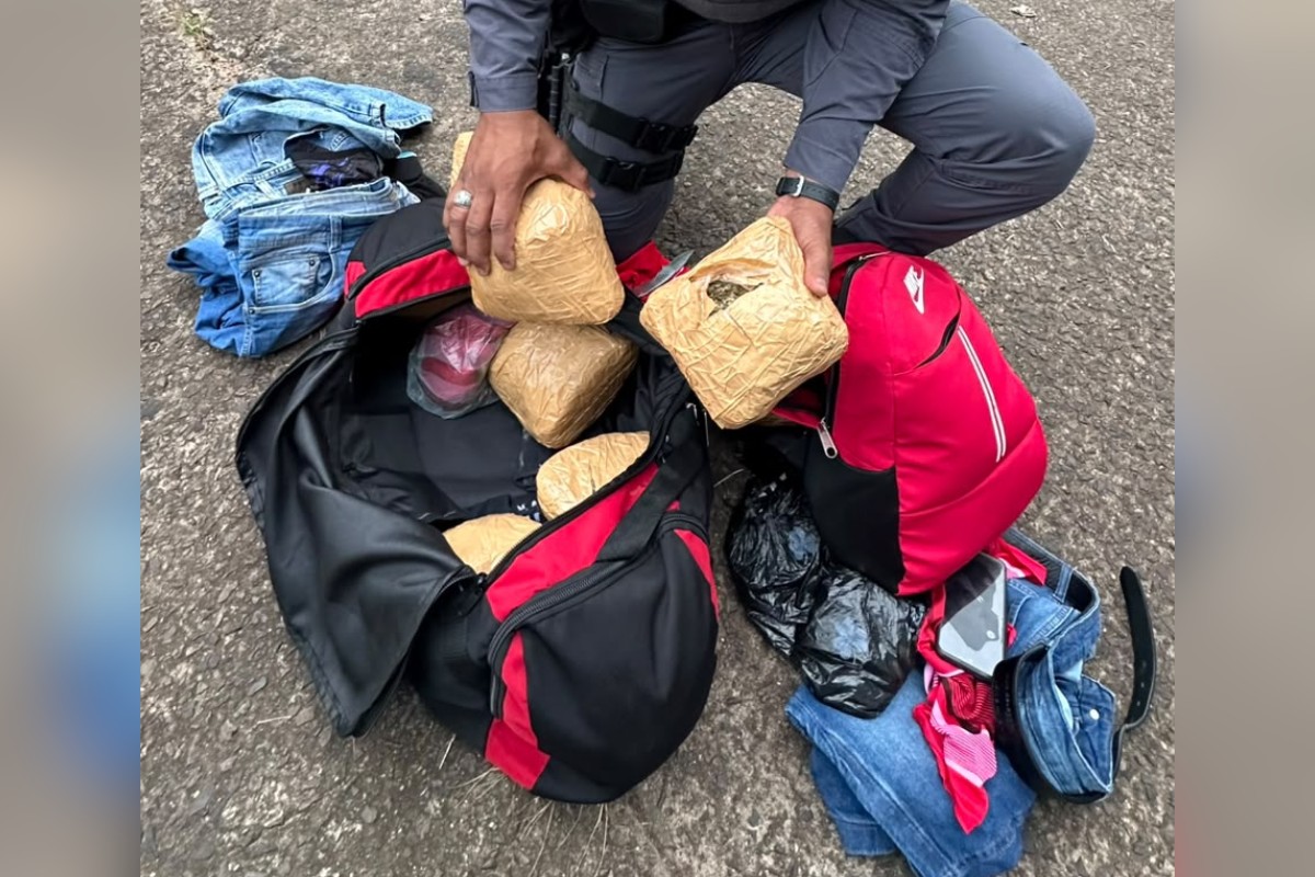Boliviano é preso com 12,8 kg de skunk em ônibus na Rodovia Raposo Tavares, em Presidente Prudente
