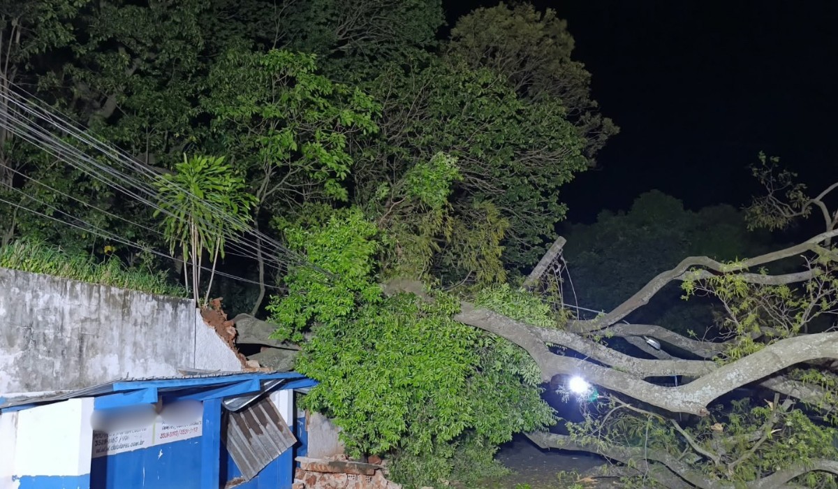 Árvore cai sobre rede elétrica e deixa 100 famílias sem energia em Osvaldo Cruz