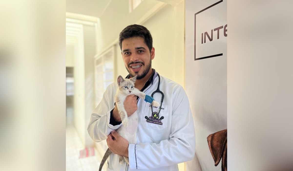 Veterinário alerta para riscos de anticoncepcionais hormonais em cães e gatos