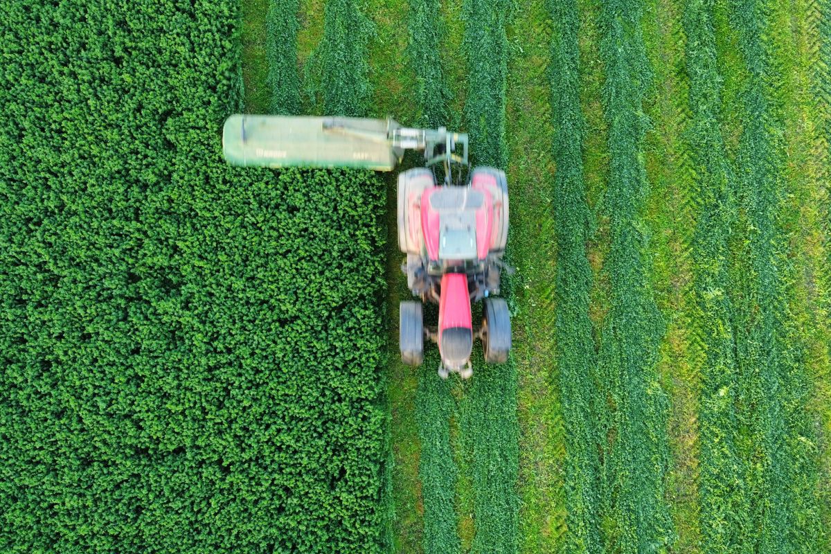 Agronegócio brasileiro soma 700 novos mercados internacionais desde 2023